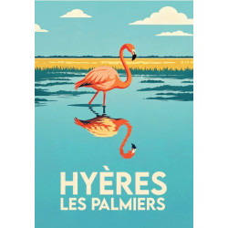 Flamant rose Hyères Les...
